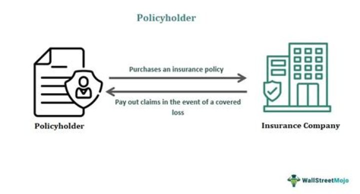 Is policyholder two words?