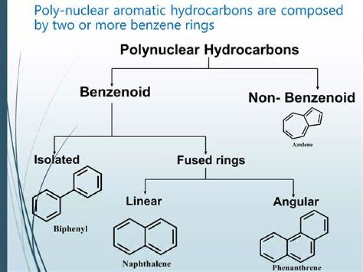 Is polycyclic and polynuclear?