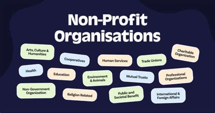 Is profit seeking organization?