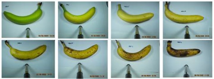 Is ripening of banana chemical reaction?