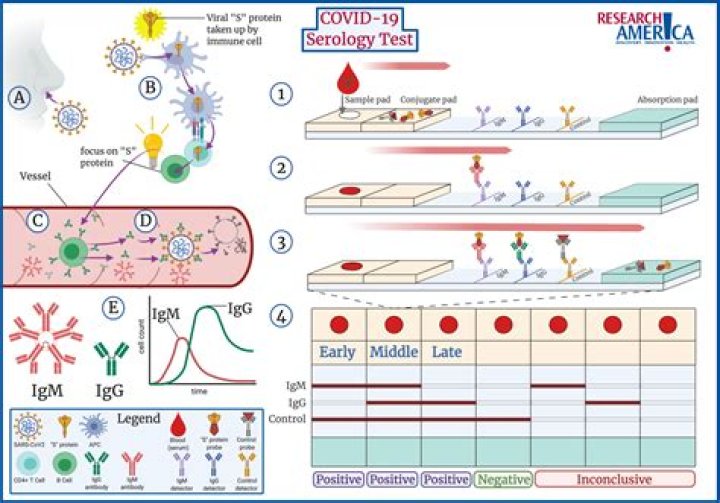 Is serology a blood test?