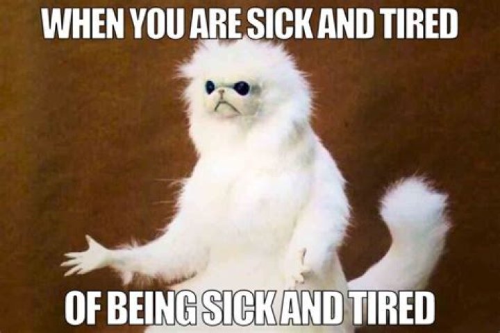 Is sick and tired meaning?