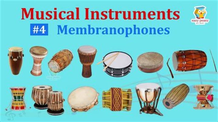 Is tambourine a idiophone or membranophone?