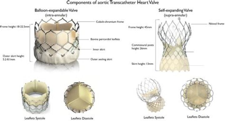 Is tavr mechanical or bioprosthetic?