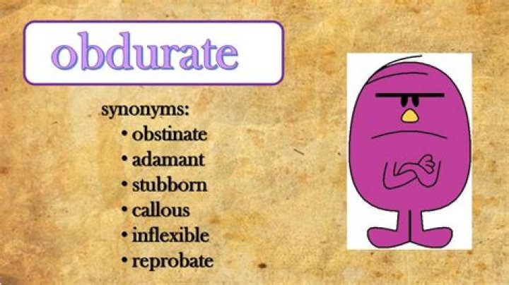 Is there a difference between obdurate and obstinate?