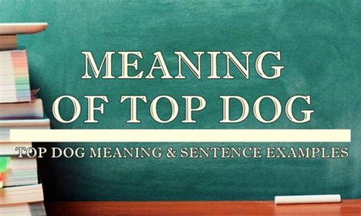 Is top dog meaning?