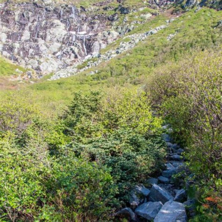 Is tuckerman ravine trail open?