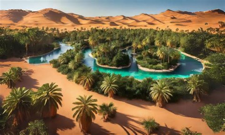 On oasis in the desert?