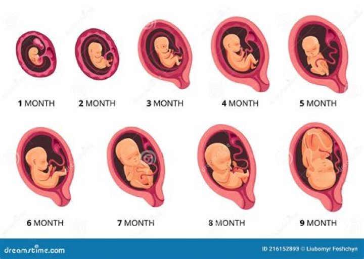 On the fetal stage?