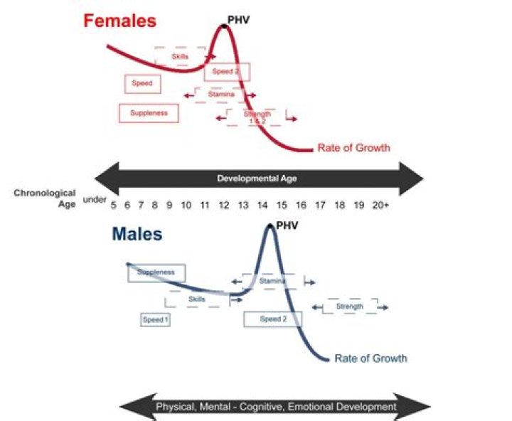 Should females train differently than males?