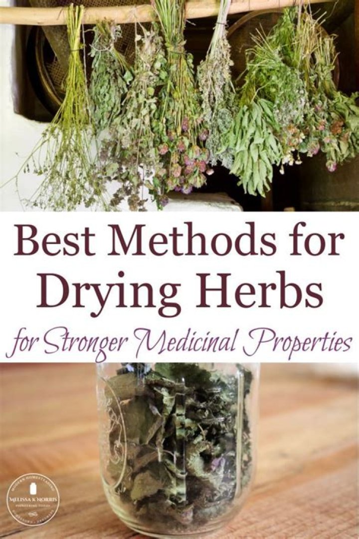 Should herbs be washed before drying?