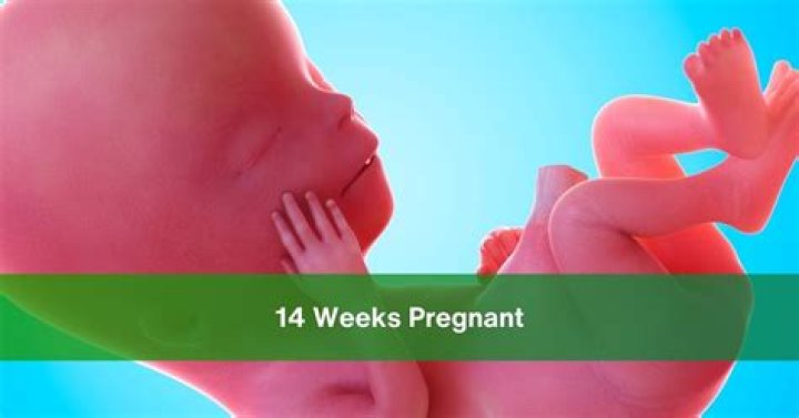 Should i be showing at 14 weeks?