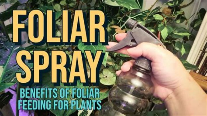 Should i ph my foliar spray?