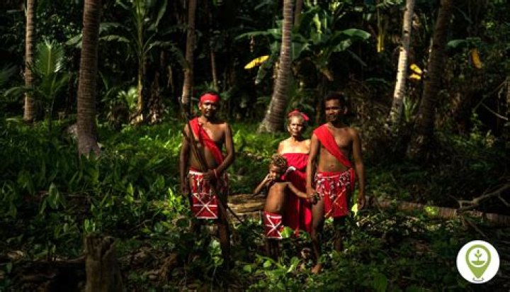 Should i say indigenous or aboriginal?