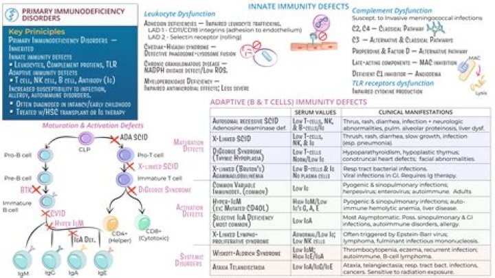 Should i take comlex or usmle first?