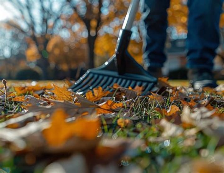 Should i treat the inside of my shed?