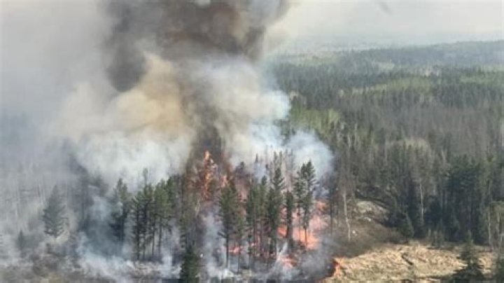 Should lake forest evacuate?