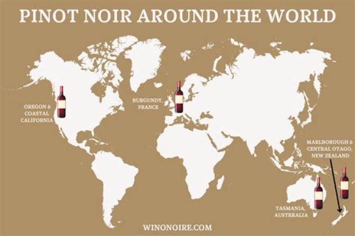 Should pinot be chilled?