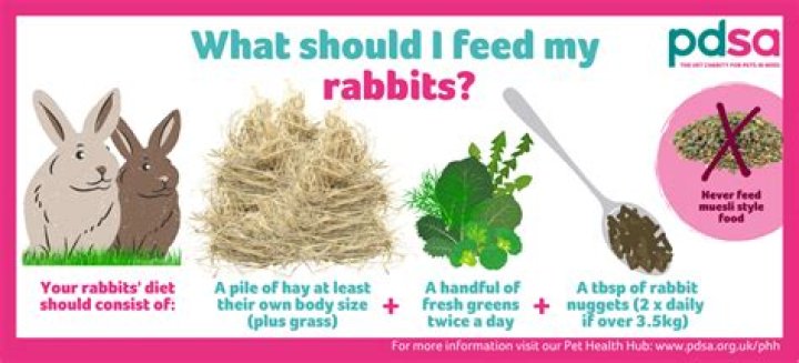 Should rabbits eat jute?