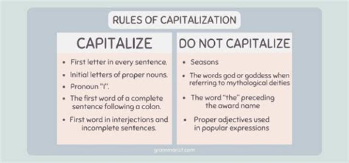 Should the word government be capitalized?