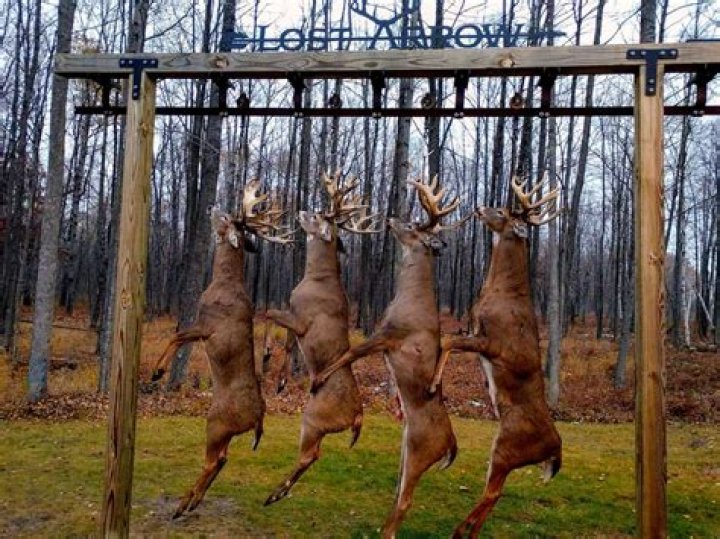 Should you hang deer before butchering?