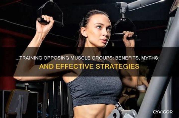 Should you train opposing muscle groups?