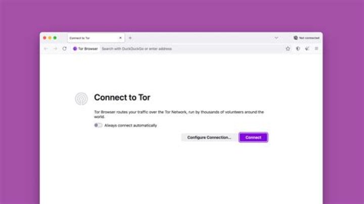 Should you use tor browser?
