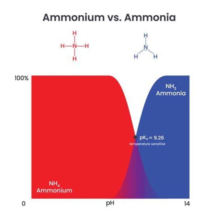 Was ammonium a metal?