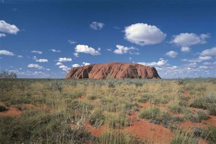 Was ayers rock a tree?