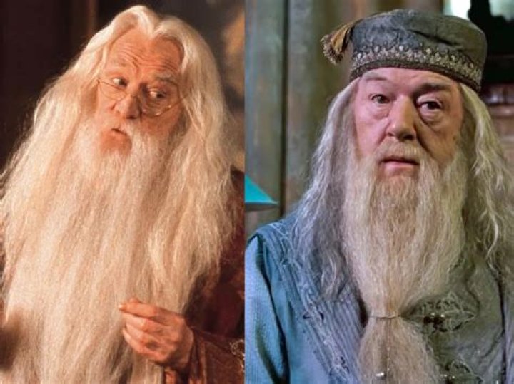 Was dumbledore a gryffindor?