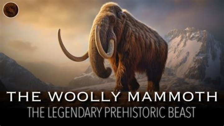 Was the woolly mammoth a dinosaur?