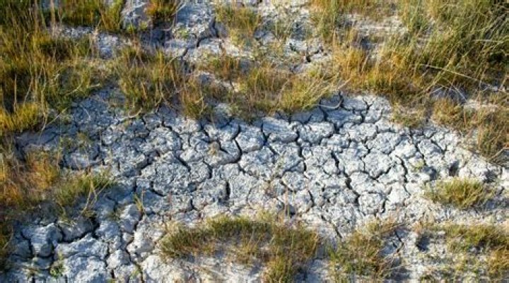 What are climate drivers?