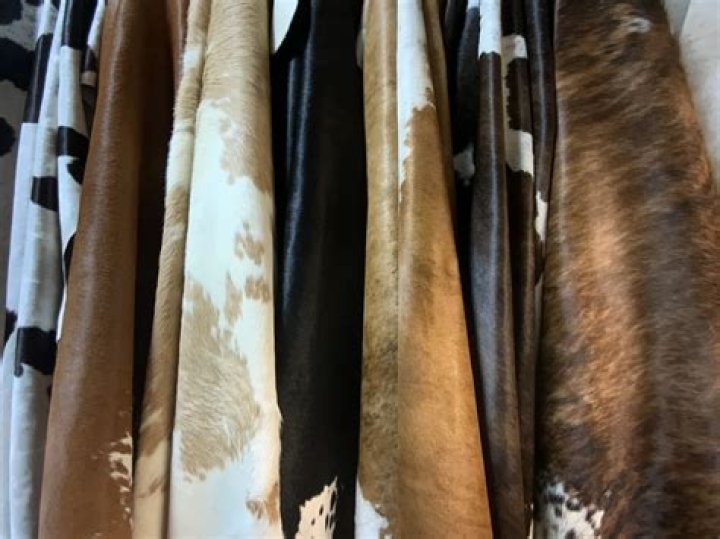 What are cow hides?
