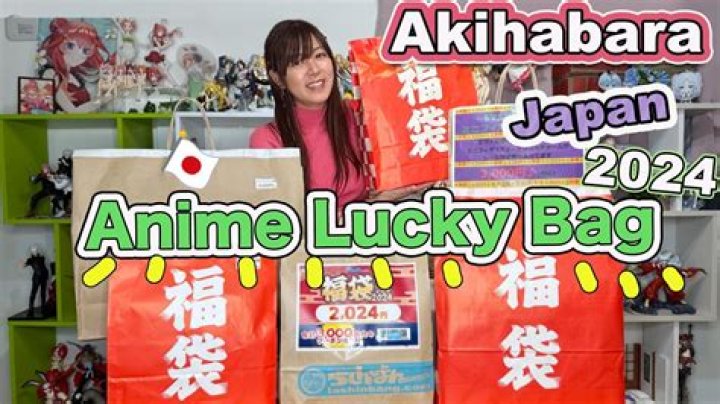 What are japanese lucky bags?