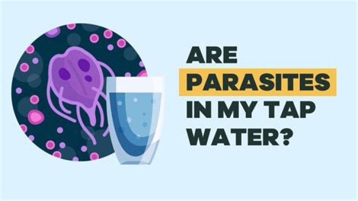 What are metazoan parasites?