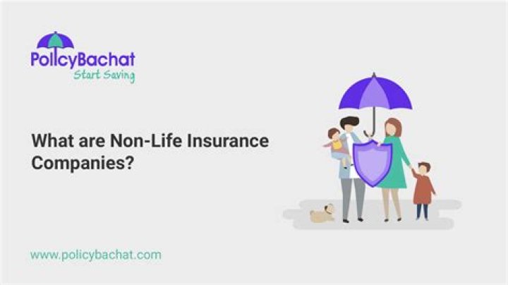 What are non life insurance companies?