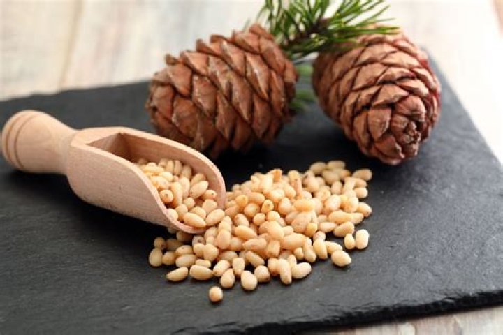 What are pine nuts?