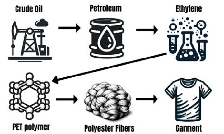 What are polyester fluffs used in this experiment?