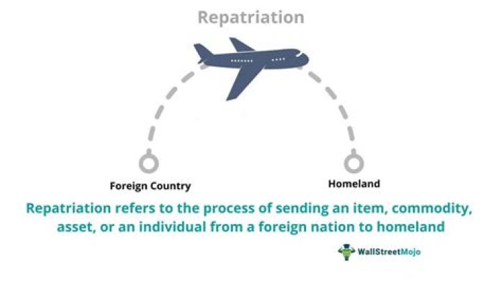 What are repatriated earnings?