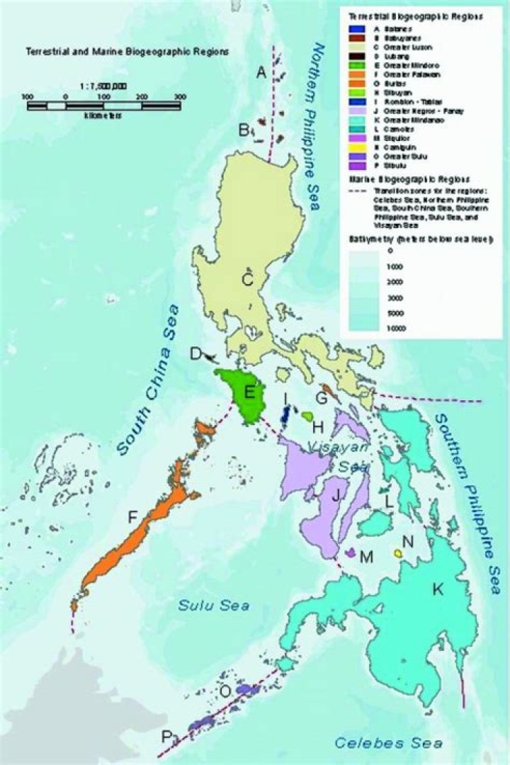 What are the different biogeographic regions in the philippines?