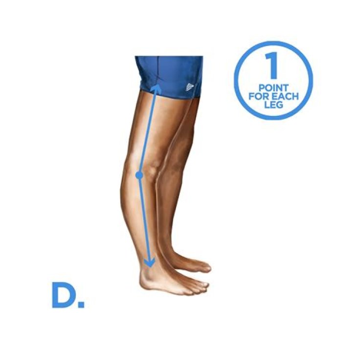 What are three advantages to having jointed legs?