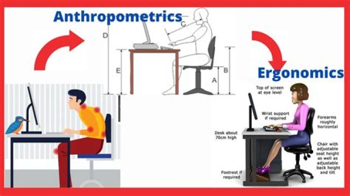 What areas) does ergonomics address?