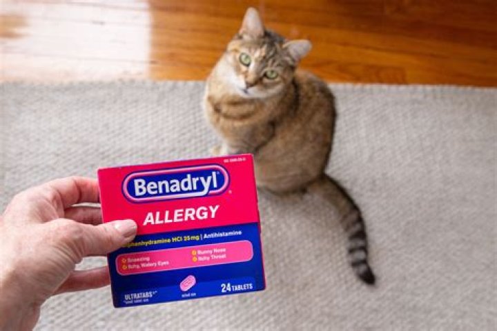 What benadryl is safe for cats?