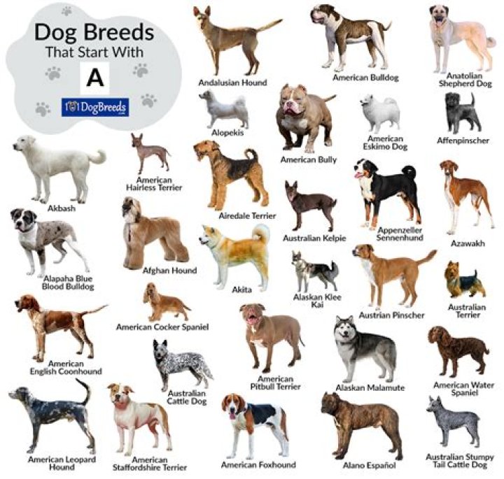 What can deino breed with?