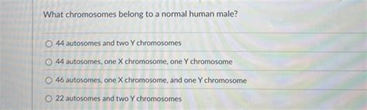 What chromosomes belong to a normal human male?