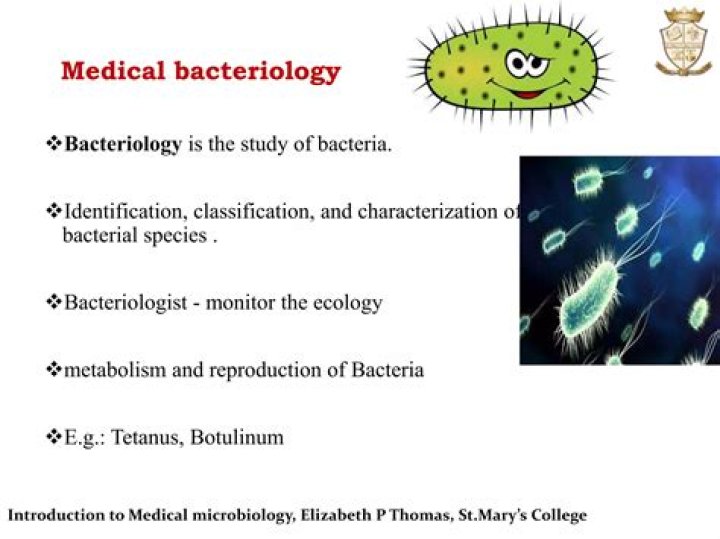 What do bacteriologist study?