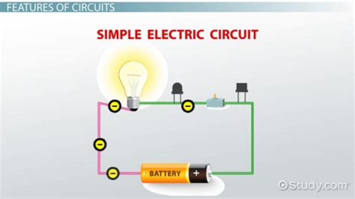 What do circuits do?