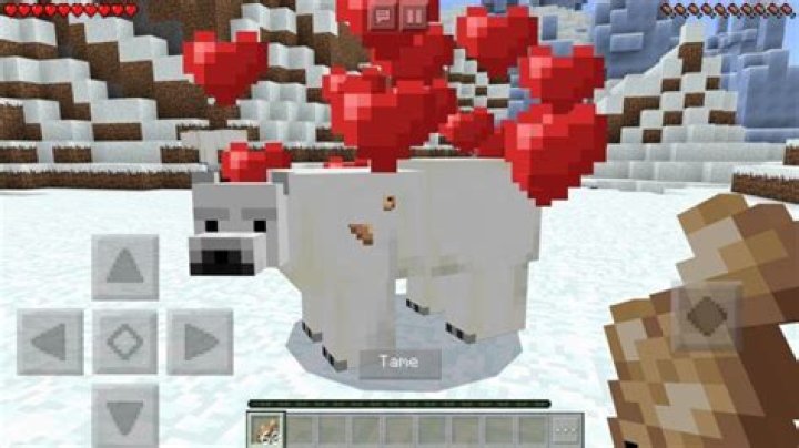 What do polar bears eat in minecraft?