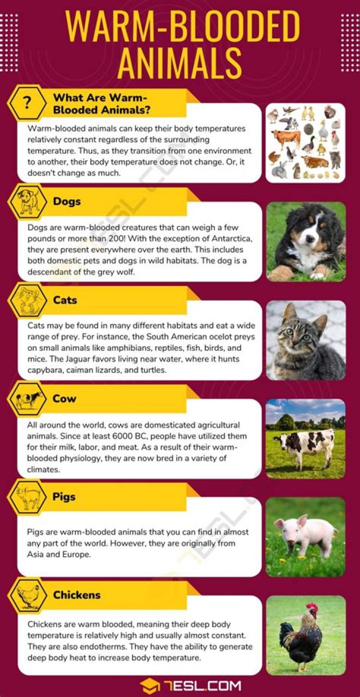 What do you mean by bacteriostasis?