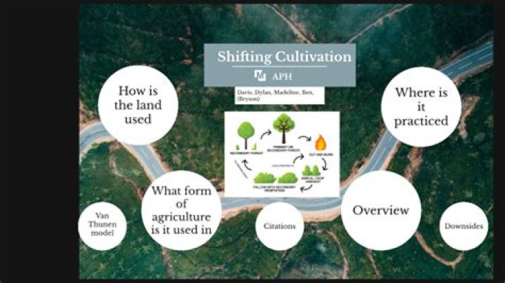 What does 'self-cultivation' mean to you?